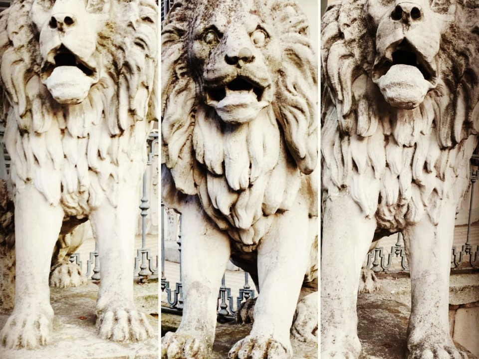 Antichità BOVO di Mantoan Silvia