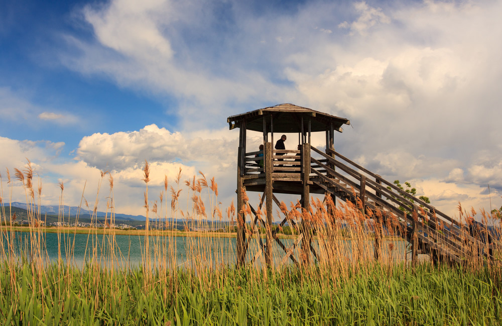 Antichità BOVO di Mantoan Silvia