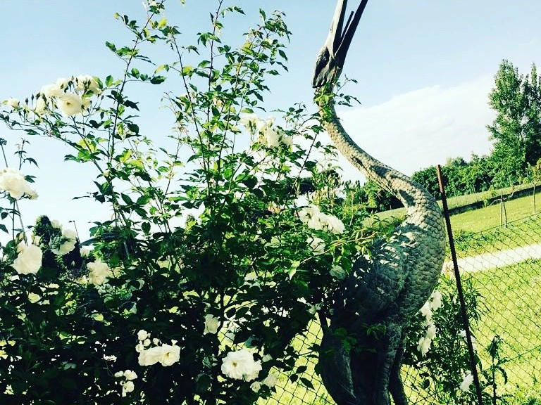 Antichità BOVO di Mantoan Silvia